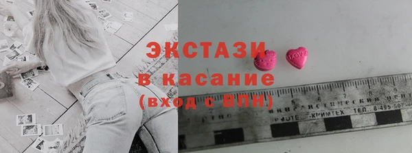 индика Протвино